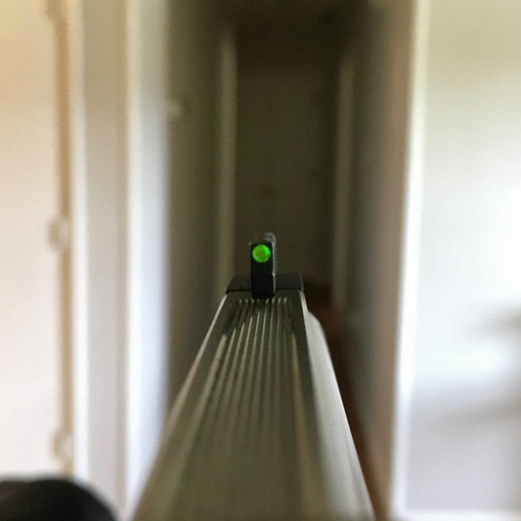 Fiber Optic Sights