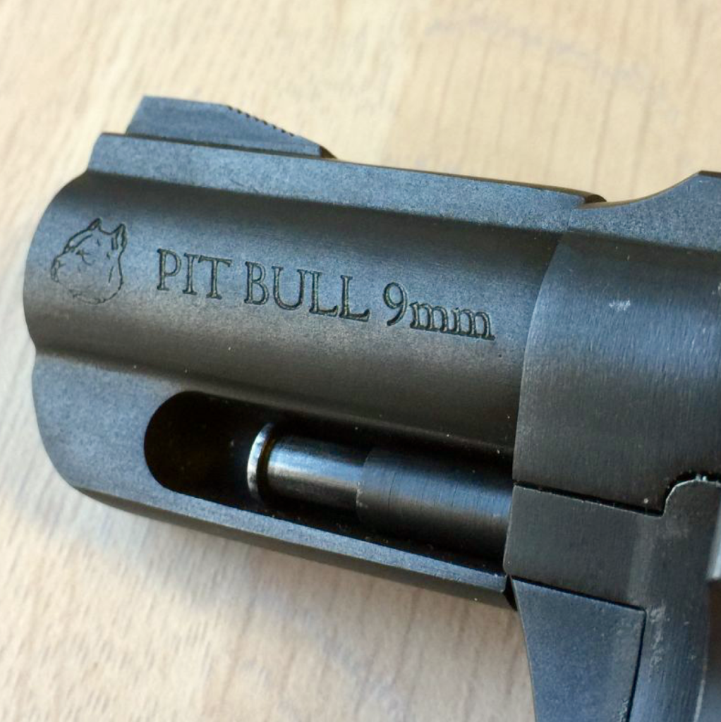 Charter Arms Pitbull