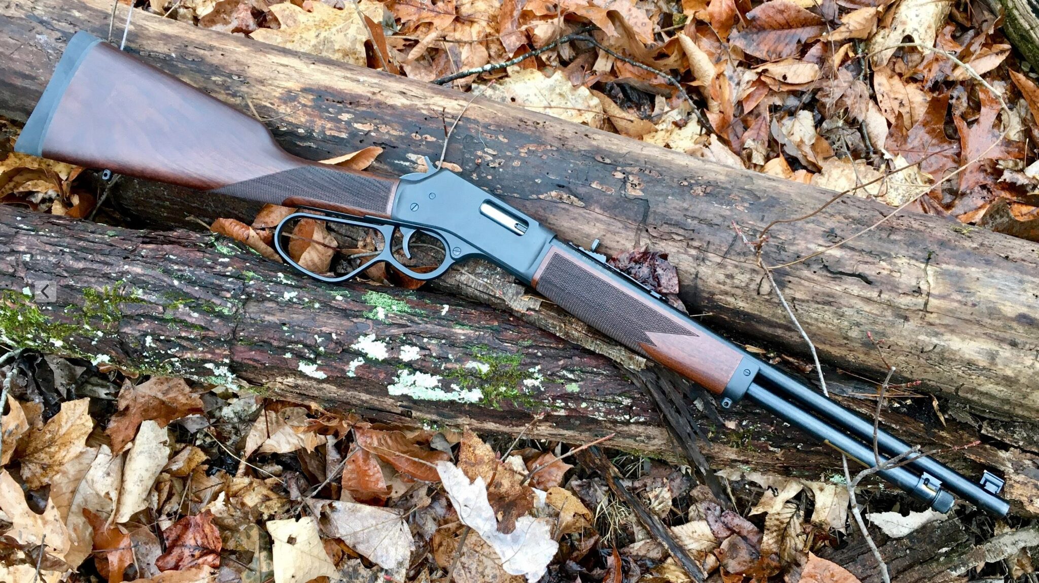 RG PCC: Henry Big Boy Steel Carbine .357 Magnum – RevolverGuy.Com