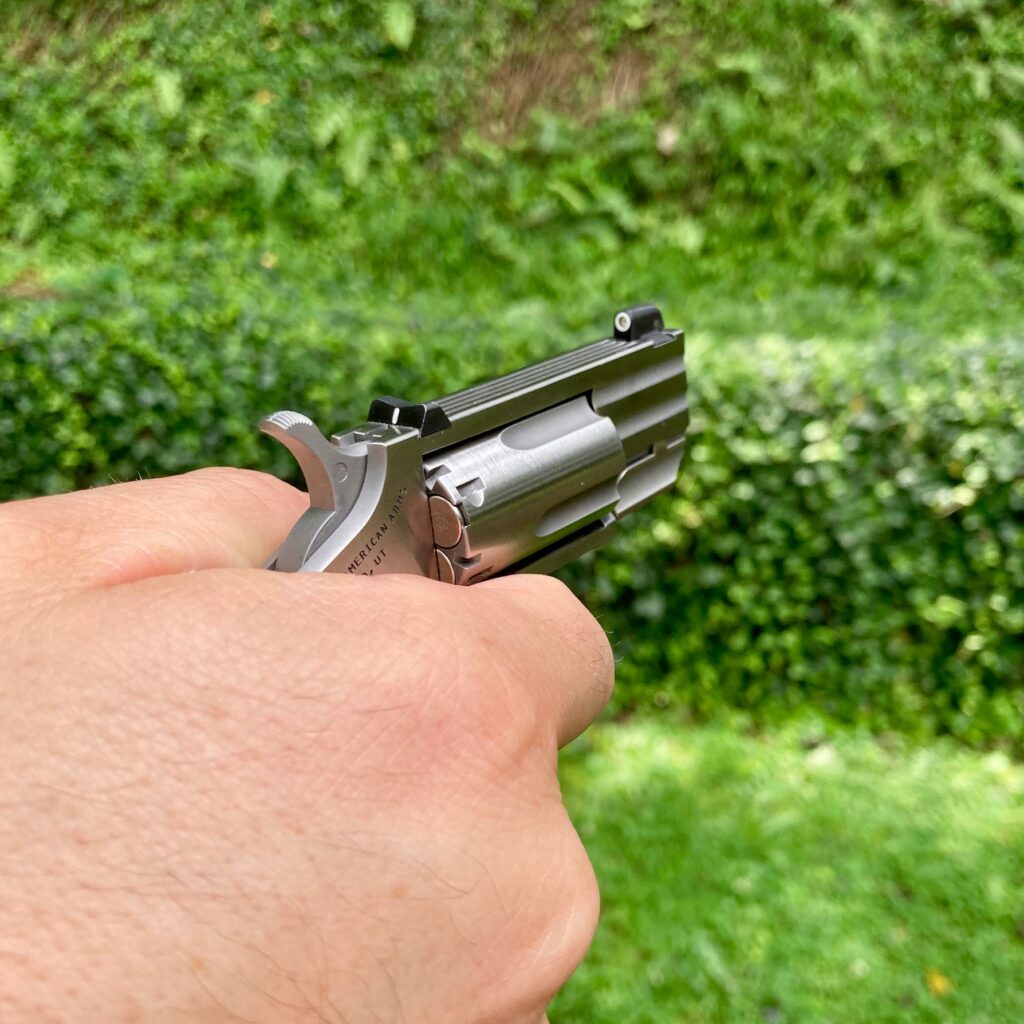 How Small is Too Small - The NAA Mini Revolver