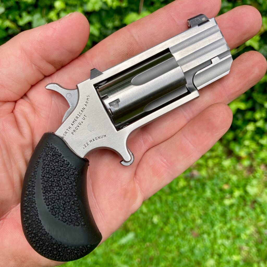 How Small is Too Small - The NAA Mini Revolver